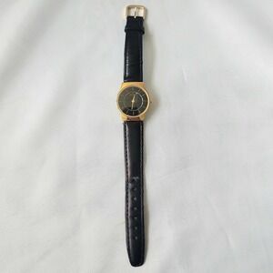 Skagen Denmark Gold Tone Black Dial Stainless Steel Ultra Slim Men's Dress Watch